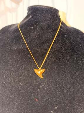 Henri Girl Gold Shark Tooth Pendant Necklace